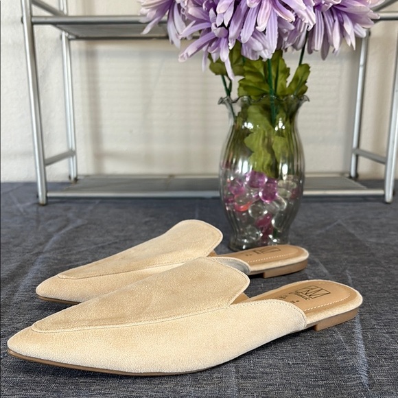 Hawkwell Women's Sz 8  Slip on Comfortable Loafer Shoes Flats Pointed Toe Mules - Picture 1 of 5
